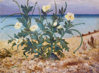 Sand Dunes, East Coast by Christopher Richard Wynne Nevinson